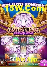 Statistics 56Win App